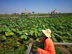 -敕勒川草原文化旅游区