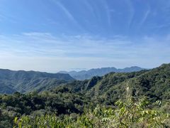 -大岭沟猕猴桃谷风景区