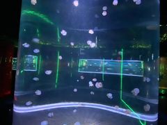 -无锡动物园·太湖欢乐园