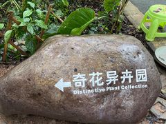 -中国科学院西双版纳热带植物园