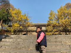 -灵谷景区