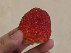 -想时吻泡蛋苕粉(徐东店)
