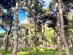 -长春市南湖公园