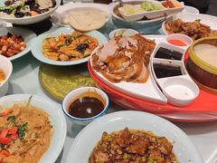 -新侨小馆(东直门北小街店)