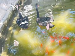 -北京市海淀外国语实验学校