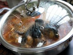 -弘烨 贵州酸汤 鱼火锅(东财店)