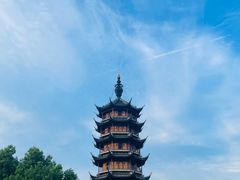 -红梅公园