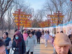 -青龙湖公园