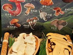 -季季山·云南野生菌火锅(上海首店)