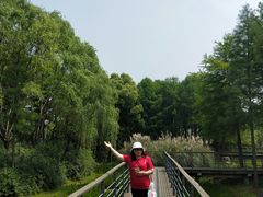 -尚贤河湿地