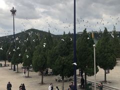 -龙口南山旅游景区