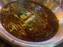 鱼火锅-红牌美蛙鱼头火锅(万辉国际广场店)