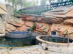 -海口观澜湖火山温泉谷