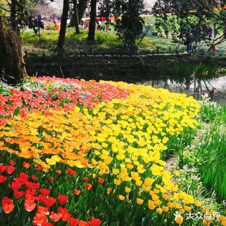 杭州太子湾公园攻略|