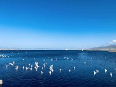 -青海湖国家重点风景名胜区