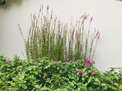 -中国茶叶博物馆(双峰馆区)