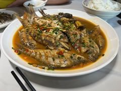 -全乐鱼馆·淳牌有机鱼直营店