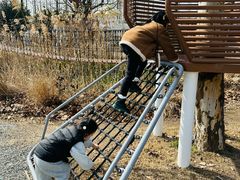 -前小桔亲子创意农场·草莓采摘·露营烧烤