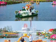 -荷兰花海