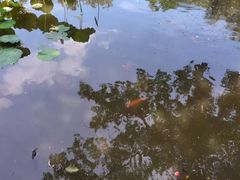 -广州近代史博物馆