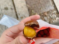 -阿男野栗王(金门路店)