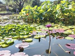 -国家植物园南园