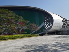 -华润深圳湾体育中心-“春茧” 体育馆
