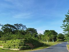 -东莞植物园