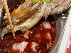 -知春路(地铁站)
