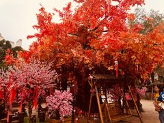 -郑州方特梦幻王国