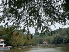 -深圳仙湖植物园