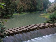 -桤木河湿地公园