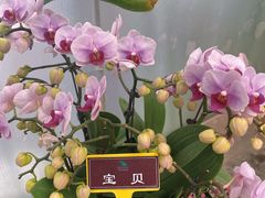 -郑州植物园
