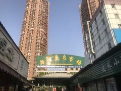 -曲阳花鸟市场(曲阳路店)