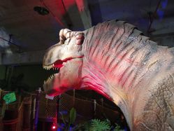 -恐龙探索乐园(磁器口店)