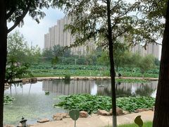 -前关湿地公园