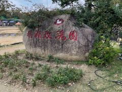 -鹅湖玫瑰文化园