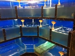 水产区-雪乡阁东北农家菜(颛桥约好休闲街店)