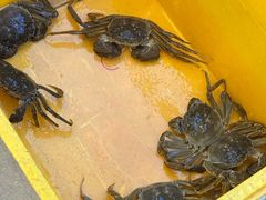 -蟹天蟹地农家菜·阳澄湖大闸蟹(浅水湾店)