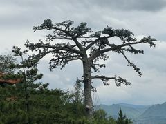 -北岳恒山