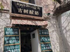 -古树酸奶(八廓南街店)