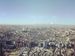 -东京都厅舍