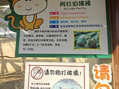 -合肥野生动物园