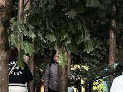 -吉林省自然博物馆