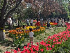 -石家庄市植物园
