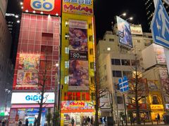 -秋叶原电器街