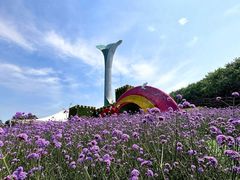 -沈阳植物园