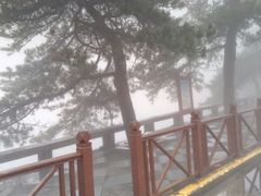 -庐山风景区花径公园