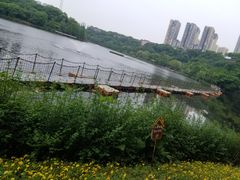 -重庆彩云湖湿地公园