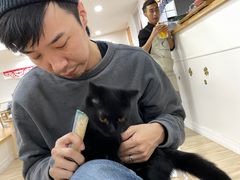 -李小姐の猫咖啡馆(五角场店)